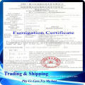 Professional sea shipping with export document from China